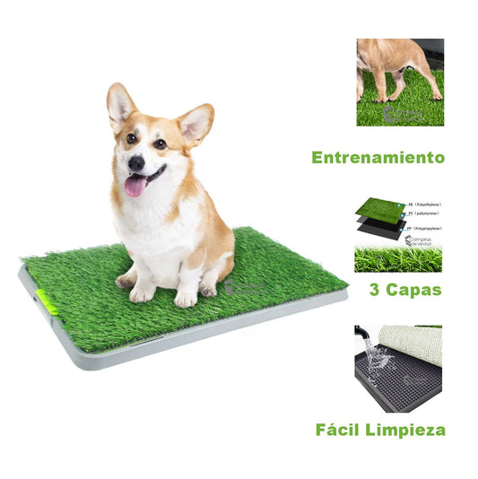 Tapete Entrenamiento Para Perro Casa