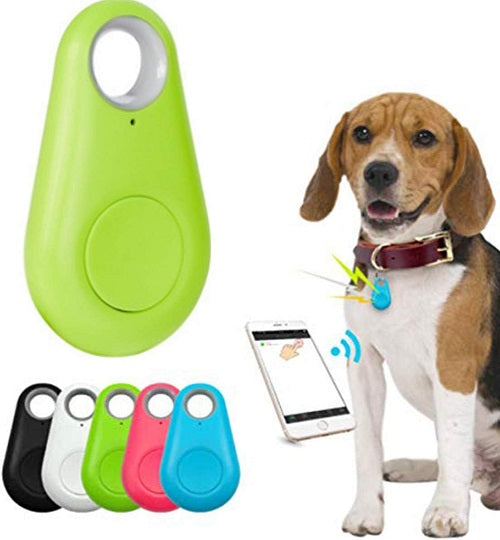 Chip GPS Para Mascotas O Llaves